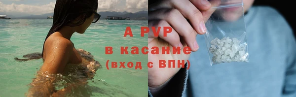 крисы Алексин