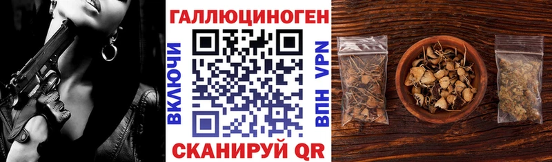 Псилоцибиновые грибы Psilocybine cubensis  как найти наркотики  omg ONION  Калязин 